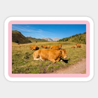 Italian Alpine Cows Sticker